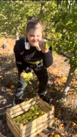 6c7edfd2-3b8f-47e8-89f9-c739282c99cc