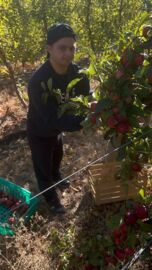 c1554bda-7341-4114-8259-512f1674fd63